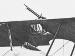 Wing detail from Sopwith 2F.1 Camel N7136 (0381-059)
